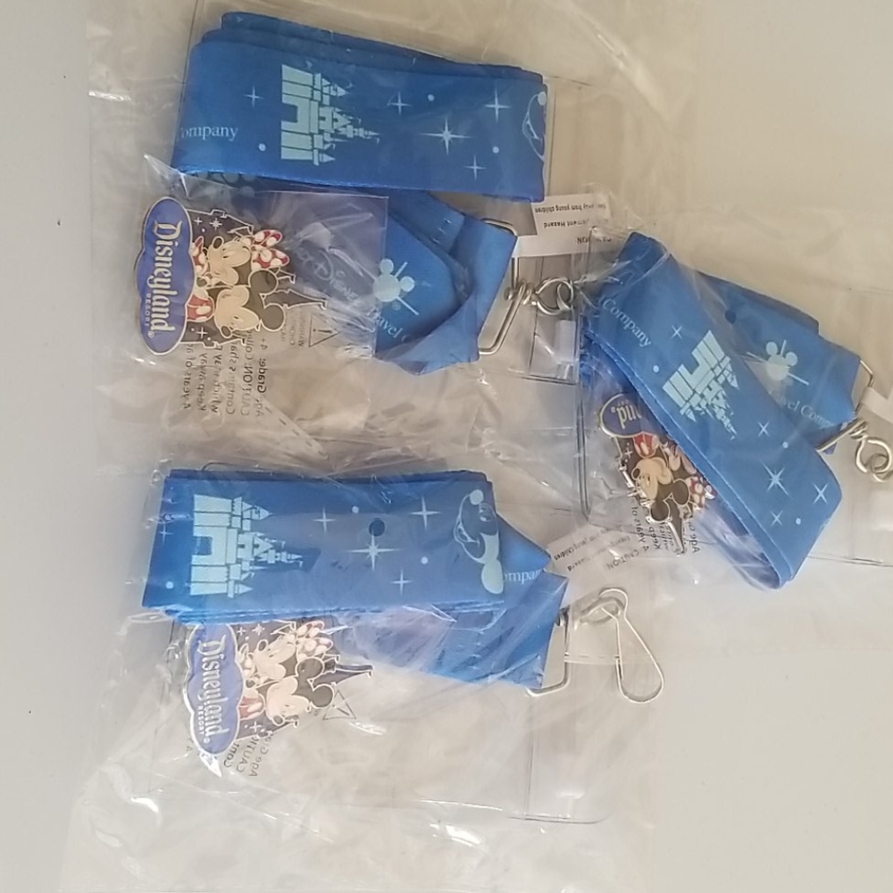 Disneyland lanyard and Pin